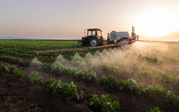 Best Pest Removal Services  in Richlandtown, PA