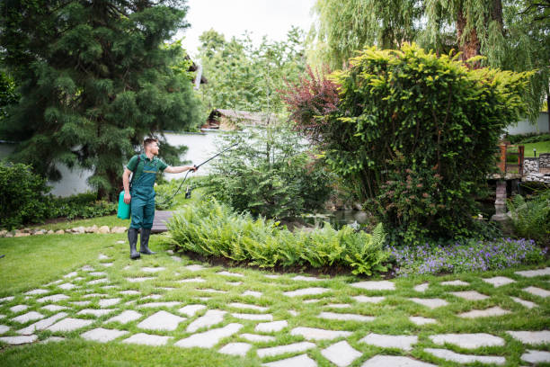 Best Pest Removal Services  in Richlandtown, PA