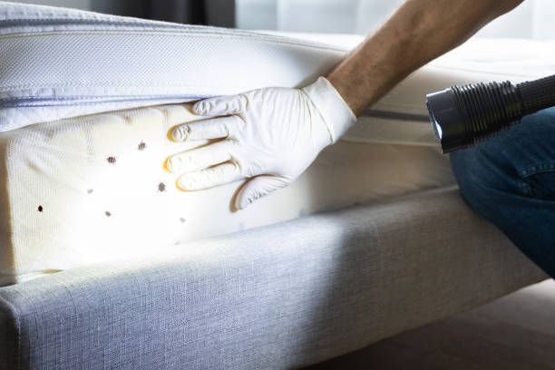 Trusted Richlandtown, PA Pest Control Experts