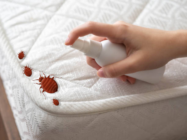 Best Residential Pest Control  in Richlandtown, PA