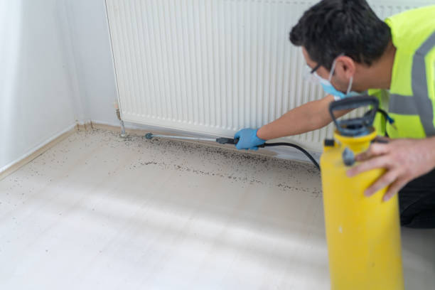 Best Wasp Removal Services  in Richlandtown, PA