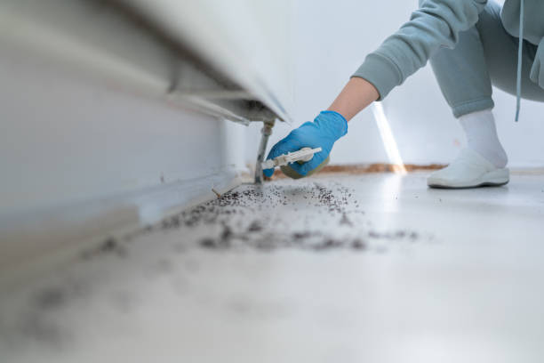 Best Emergency Pest Control  in Richlandtown, PA